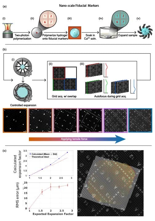 Nano Scale Diagram
